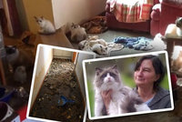 Mrtvá koťata, syrové maso a fekálie! Množitelku z pekla zadržely úřady