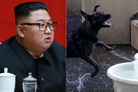 Kim šokoval novým zákonem: Severokorejci kvůli hladu musí odevzdat své psy restauracím