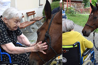Foto, které chytne za srdce: Seniory v domově důchodců potěšil terapeutický kůň