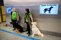 Očenichání místo testu: Na prvním evropském letišti nasadili do akce psy