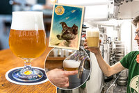 „Pivovarnictví je alchymie,“ říká Jan (39). Svými pivy vzdává hold mrtvým němým hrdinům