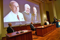 Nobelovu cenu za lékařství získali dva Američané a Brit. Objevili virus žloutenky typu C