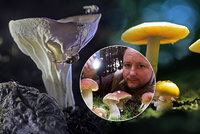 Fotograf na houby: Jan Hodač (39) má nevšední koníček, místo sběru snímá neobvyklou krásu hub