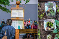 Jedlý les v Holešovicích: Komunitní zahrada pro seniory se rozroste