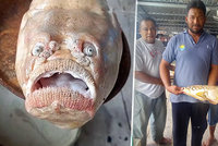 Strašidelná ryba vyděsila rybáře: Měla tvář jako ošklivý člověk!