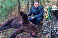 Medvěd vyhrabával mrtvoly z hrobů a požíral je! Šelmu pochutnávající si na nebožtících zastřelili