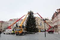ŽIVĚ: Vánoční strom už stojí na Staroměstském náměstí! V noci ho vztyčili, podívejte se