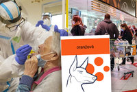 Koronavirus ONLINE: Otevřené obchody, restaurace a služby v Česku. A 4563 případů za středu