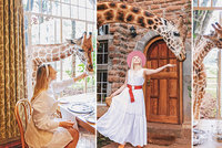 Hitem Instagramu je unikátní hotel v Keni: V Giraffe Manor můžete posnídat s ohroženým druhem žiraf!