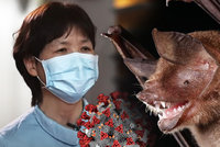 Důrazné varování „netopýří ženy“: Další koronaviry kolují v přírodě a jsou i mimo Čínu