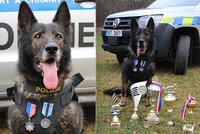 Policisté se rozloučili se psím hrdinou: Během desetileté služby pomohl vyřešit stovky případů