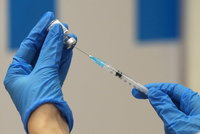 Brno bude očkovat proti koronaviru v polní nemocnici na výstavišti: Denně až 1400 lidí