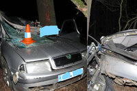 Řidič (†46) nepřežil náraz do stromu u Třeboně, dostal smyk na zamrzlé silnici