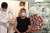 Koronavirus ONLINE: Černý březen v Česku s nejvyšším počtem úmrtí. 7337 hospitalizovaných