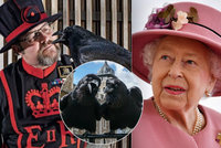 Průšvih na královském dvoře: Britské královně se ztratil krkavec, znamená to pohromu!