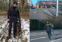 Dramatické video z policejní honičky: Zloděje vyčmuchal pes, policista pak muže složil do křoví