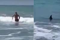 Plavec se šel smočit, z vody ale rychle sprintoval na břeh: V patách mu byli dva žraloci!