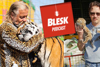 Podcast: Utěšovala mě tatínkova tygřice, svěřil se Patrik Joo. Co bude se slavným cirkusem?