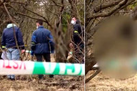 Krutý sadista utýral psa k smrti: Půlku jeho znetvořeného těla pak pověsil na strom