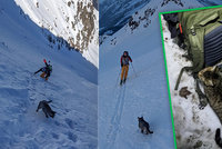Zatoulané kotě se přidalo k horolezecké výpravě: Dva turisty následovalo až na vrchol třítisícovky!