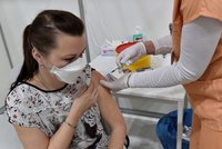 Koronavirus ONLINE: Superdodávka vakcín pro Česko, úvaha o zahrádkách a plné školky i v Praze?