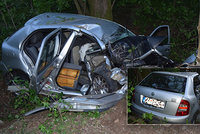 Mladý řidič ve škodovce vyletěl ze zatáčky přímo do stromu: Neměl šanci přežít