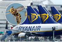 Hmyz v letadle: Dlouho odstavené stroje se vrací po pandemii na nebe. A s nimi i nové riziko