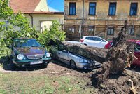 Silné bouřky zasáhly v Chorvatsku i turisty v kempech. Vichr jak při hurikánu a polámané stromy