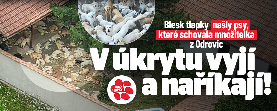 Dívka z tornádem zdemolovaného autobusu: Silvinka je už doma