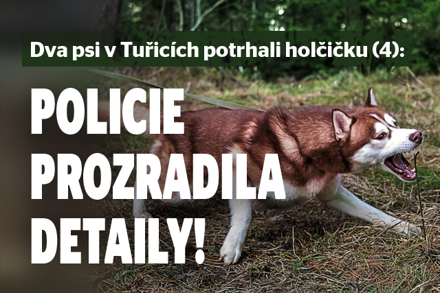 Dva psi v Tuřicích potrhali holčičku (4): První slova policie k případu