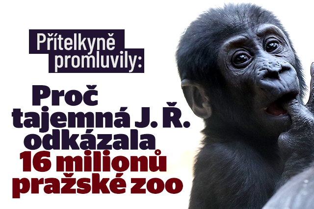 Dárkyně odkázala Zoo Praha 16,7 milionu: Dojemný dopis