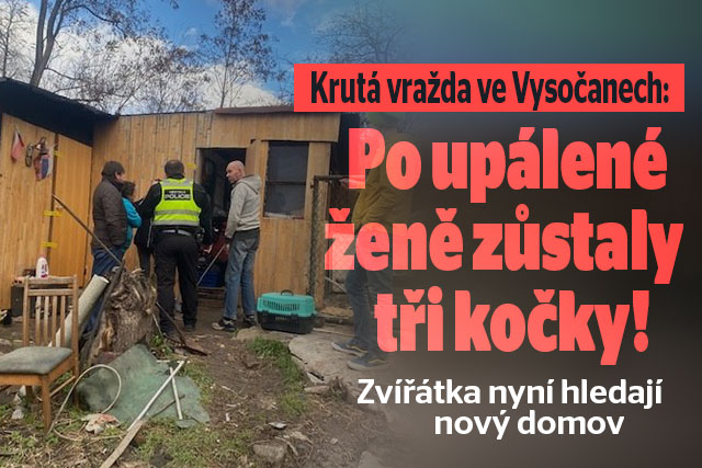 Krutá vražda ve Vysočanech: V chatce zůstaly uvězněné kočky