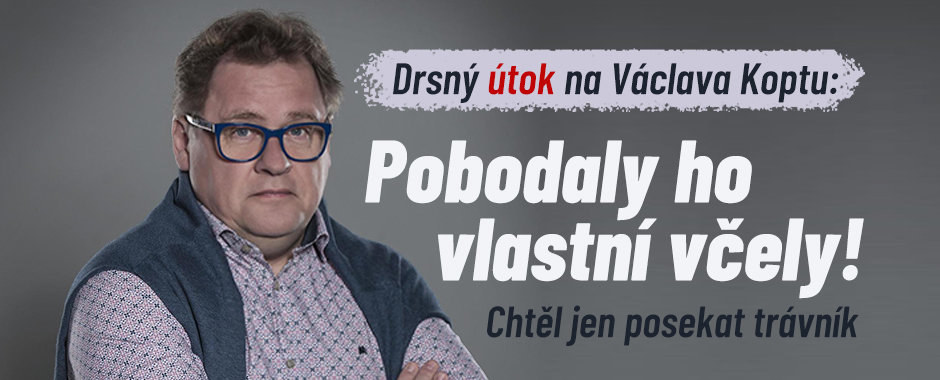 Drsný útok na Václava Koptu: Pobodaly ho jeho vlastní včely! Chtěl jen posekat trávník Drsný útok na Václava Koptu: Pobodaly ho jeho vlastní včely! Chtěl jen posekat trávník
