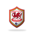 Cardiff City FC Cardiff City FC